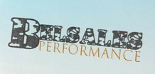 Belsales Performance